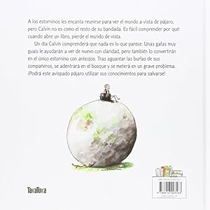 ¡Calvin, ten cuidado!