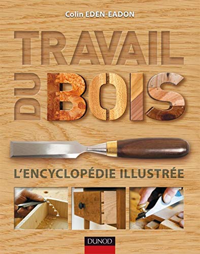 Télécharger Travail du bois - L'encyclopédie illustrée: L'encyclopédie illustrée livre En ligne