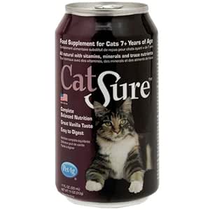 Buy Catsure Liquid Meal Replacement For Senior Cats 11oz Cans Case Of 12 Online At Low Prices In India Amazon In