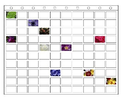 Fotovorhang mit 100 Taschen - 2