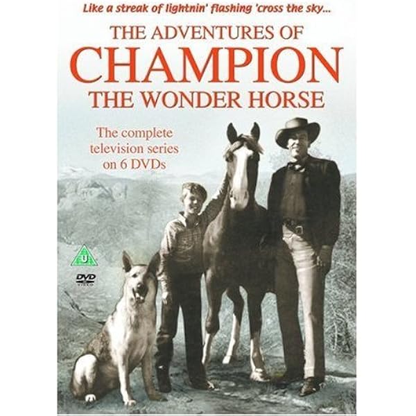 その他 Year of the Horse [DVD] その他 Year of the Horse [DVD] Amazon.com: Year of the Horse