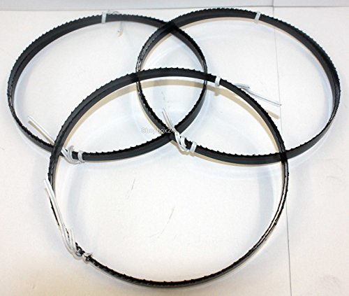 3 x Standard Sägeband Bandsägeband Bandsägeblatt Sägebänder 2240 mm x 8 mm x 0,65 mm x 6 Zähne pro Zoll , für Holz , Hartholz , Brennholz , Sperrholz , Quer- und Schweifschnitte , für Elektra Beckum , Metabo , Einhell , Güde , Atika , Westfalia u.v.m. - 2