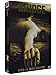 The Bridge - Stagione 1 (4 DVD) [Import italien]