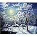 Produktbild DIY 5D Diamond Painting Set Diamant 30 x 35 cm 5 D Schnee Alba Diamond Painting 1 Set Diamond Painting