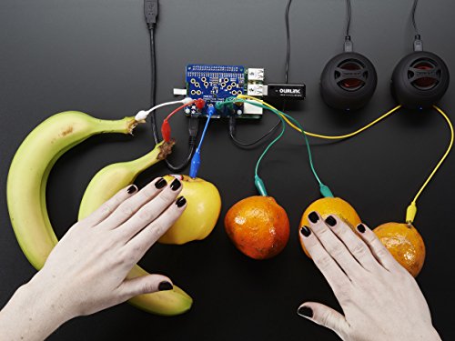 Adafruit Capacitive Touch HAT für Raspberry Pi (A+/B+/2) – Bausatz - 2