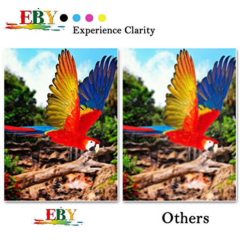 EBY Epson 18XL Compatible Cartuchos de Tinta Para Epson Expression Home XP102  XP202  XP212  XP215  XP205  XP225  XP30  XP302  XP305  XP312  XP315  XP322  XP325  XP402  XP412  XP415  XP405 XP405WH XP422   XP425 Impresoras 4 Negro 2 Cian 2 Magenta 2 Amarillo