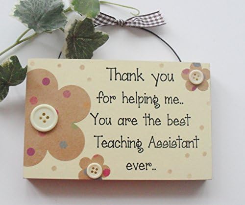 Best Teaching Assistant ever Thank you Gift keepsake wooden plaque/sign