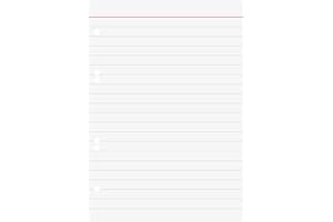 BRUNNEN Baier Schneider & Insert - Blocco note per raccoglitori ad anelli, formato A5, 70 g/m2, multicolore, a righe, 100 fogli, colore: bianco
