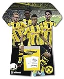 BVB Kalender 2018 - BVB Tagesabreißkalender, Fußballkalender Borussia Dortmund - 24 x 30 cm by 