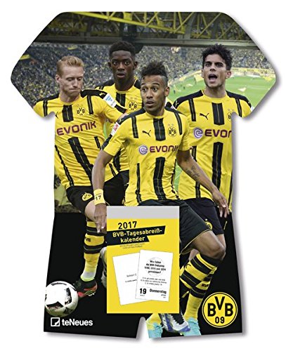 BVB Kalender 2018 - BVB Tagesabreißkalender, Fußballkalender Borussia Dortmund - 24 x 30 cm