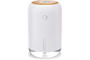 SMARTDEVIL Humidifiers 500ml for Bedroom, Small Desk Humidifier, USB Personal Desktop Humidifier for Bedroom, Office, Travel, Plants, Auto Shut-Off, 2 Mist Modes, Super Quiet, White
