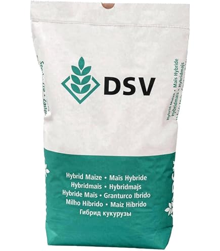 künstlicher speichel spray ZviZZer Graphene Spray Coat — Sprühversiegelung main image 0