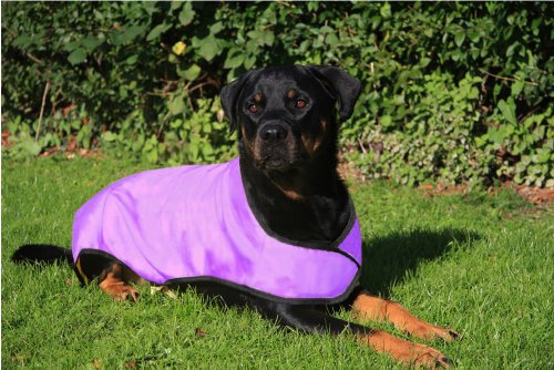 Prestige - Manteau rafraichissant pour chien - Violet - Taille L