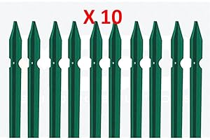 SERVICE SOLUTIONS 10 PZ Palo paletto in ferro a T 30x30x3 mm plastificato verde per rete recinzione metallica TUTTE LE MISURE - MADE IN ITALY (H. 200)