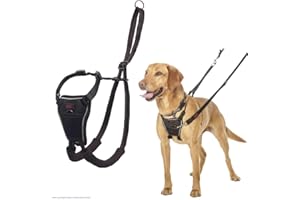 COMPANY OF ANIMALS Pettorina anti-trazione HALTI - Per impedire al cane di tirare il guinzaglio, regolabile e semplice da utilizzare. Pettorina da addestramento catarifrangente per cani di taglia media (Taglia M)