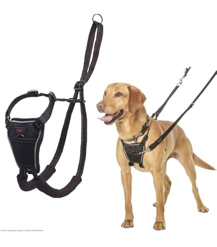 Set Gilet E Guinzaglio Riflettente Per Cane – Pettorina Regolabile No Pull, Passeggiate Sicure