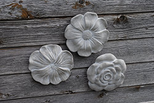 Wandbilder Blüten,3er Set mit verschiedenen Blüten,grau,je 20cm - 3