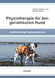 Image de Physiotherapie für den geriatrischen Hund: Fachfortbildung Tierphysiotherapie