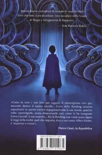 Harry Potter E La Camera Dei Segreti Riassunto Del Libro