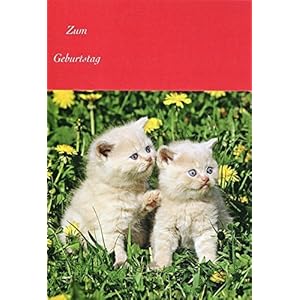 Handmadegruss Geburtstage für Kinder. Edle Grußkarten in Top Qualität in der Region von Hand hergestellt. Unser Verkaufsschlager!