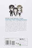 Image de Sword Art Online 2: Aincrad (Novel)