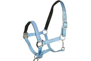 BOW & ARROW EQUESTRIAN Best On Horse Headcollar Halter - Equestrian Padded Pony Cob Classic Nylon Headcollar with Adjustable Buckle Closure - Outdoor Horse Riding Equipment�