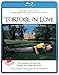 Tortoise in Love BluRay by Steven Elder