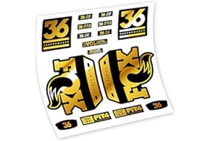 VINILOSBICI Fox 36 Fourche (Chrome Gold)