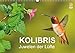 Produktbild Kolibris - Juwelen der Lüfte (Wandkalender 2018 DIN A3 quer): Atemberaubende Flugaufnahmen von Kolibris (Monatskalender, 14 Seiten ) (CALVENDO Tiere) [Kalender] [Apr 01, 2017] - birdimagency, BIA