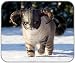 Produktbild New Skyrim Katze Dragonborn flauschig Animal Majestic Nordic Snow Mauspad Mauspad