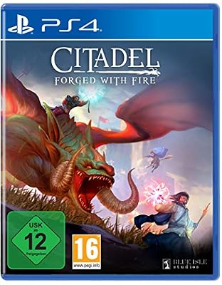 Citadel Forged with Fire (PlayStation PS4)