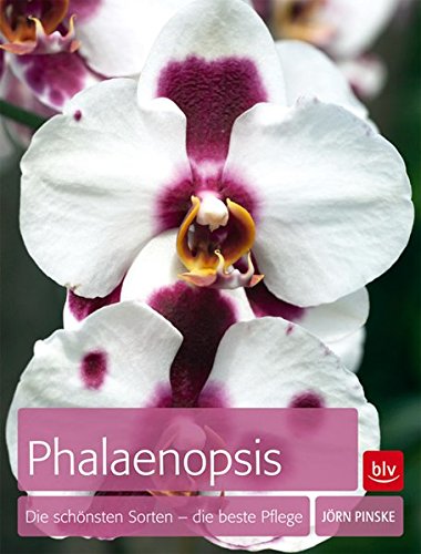 Download Phalaenopsis: Die schönsten Sorten - die beste Pflege Download Phalaenopsis: Die schönsten Sorten - die beste Pflege