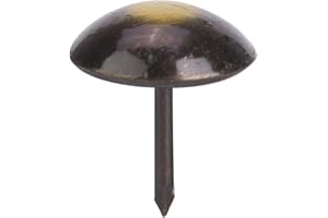 ANKROYU 100 Pezzi Chiodi per Tappezzeria, Perni per Puntine da Tappezzeria Ispessiti a Testa Rotonda retrò, Perni Antichi con Borchie a Spinta, Puntine da Disegno Decorative per (19 * 23 mm)