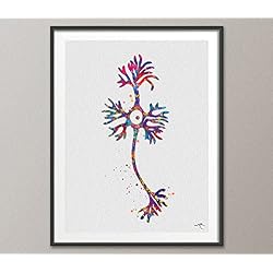 Piramidal neurona Watercolor