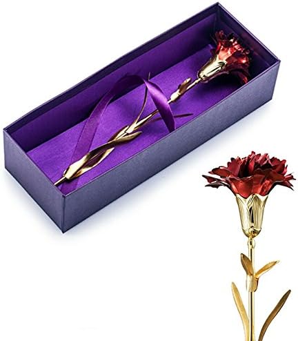 9.8-inches Gold Foil Rose - Best Valentine's Day Gifts - Handcrafted &amp; Last Forever! Gift Box and Gift Card Included (Red)