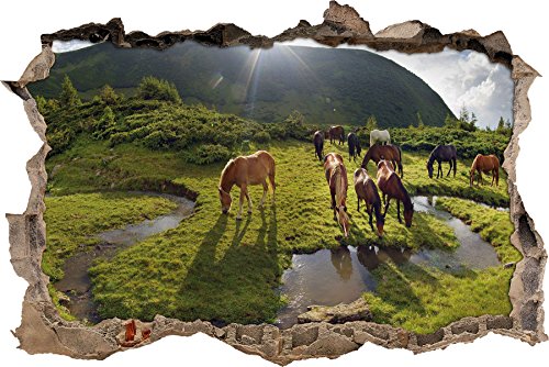 Pixxprint 3D_WD_2548_62x42 Pferde auf einer Koppel Wanddurchbruch 3D Wandtattoo, Vinyl, bunt, 62 x 42 x 0,02 cm