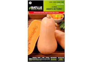 Semillas Batlle Citrouille Anquito-Butternut