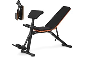 Panana Multi-Functional Gym Bench Adjustable Weight Bench Roman Chair Adjustable Situp Decline Flat Bench for Hyper Back Extension, Full-Body Workout