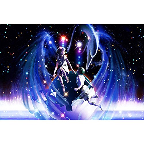 Demiawaking 5D Diamond DIY 12 Sternbild Stickerei Malerei Kreuzstich für Haus Dekor (die Zwillinge) - 2