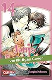 Image de Junjo Romantica 14