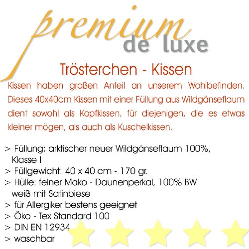 PREMIUM DE LUXE | Daunen – Trösterchen Kissen 40 x 40 cm | 100% Gänseflaum – Gesamtgewicht: 170 gr. – Deutsches Qualitätsprodukt | super soft und kuschelig | 975.20.007 – by HANSKRUCHEN - 3