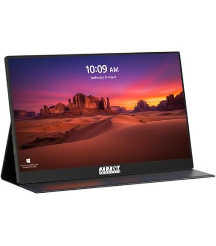 Lenovo L15 15.6 Inch Portable Monitor | FHD, 1080p, 60Hz, IPS, 6ms