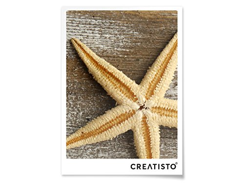 Fliesen-Folie | Dekor-Sticker Aufkleber Folie Küchenfolie Bad-Fliesen Wand Deko | 15×20 cm Design Motiv Starfish – 1 Stück - 3