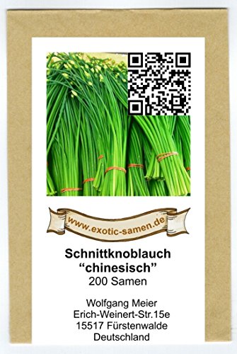 Schnittknoblauch, chinesisch – Allium tuberosum (200 Samen) - 2