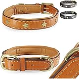 Fashion-Line von Pear Tannery: Hundehalsband aus weichem Vollrindleder, versehen mit einer Stern-Verzierung mittig, S 36-46cm, hellbraun