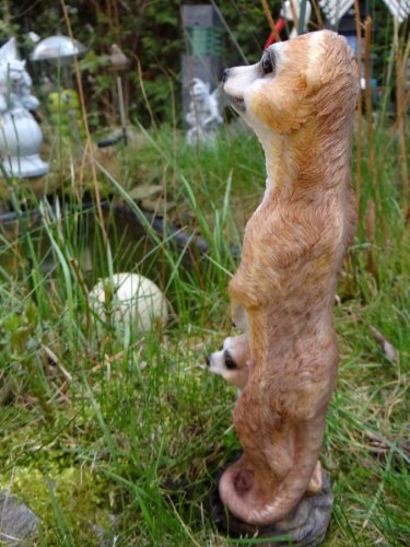 Erdmännchen Mama mit Kind 30 cm Figur Gartenfigur Garten - 2