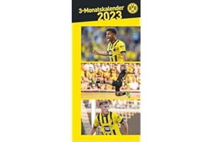 BVB 3-Monats-Planer 2023