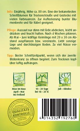 Strohblume, Riesenblumige Mischung - 2