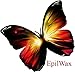 EPILWAX S.A.S - Paper Wax Waxing Strips - Pack of 250
