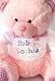 Personalised New Baby Teddy Bear with T-shirt, Baby Boy Girl, Pink Blue Keepsake (PINK)